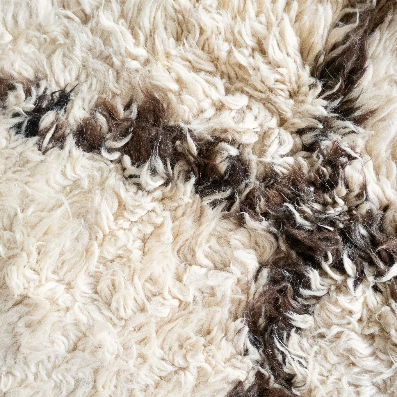 Rare Room-Sized Beni Ourain Rug, Morocco (c. 1950)